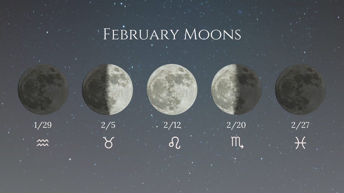 Aquarius Season: February's Guide to Achieving Community Goals