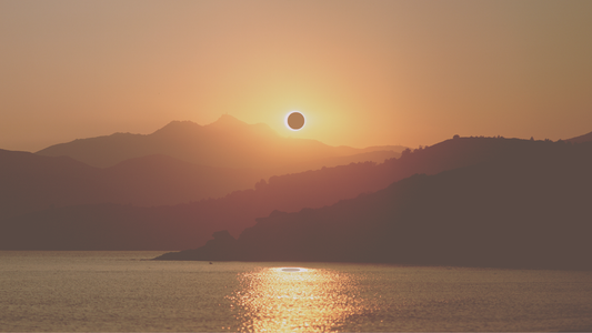 Partial Solar Eclipse Activity Menu